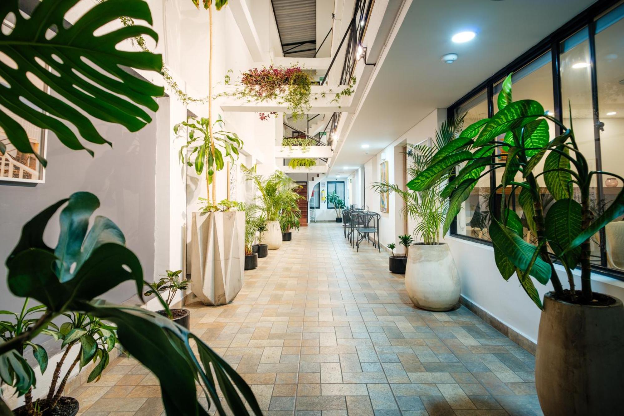 Palermo Home Bogota & Art Gallery Ngoại thất bức ảnh